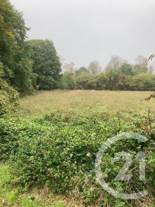 terrain à vendre - 500.0 m2 - BOISSY ST LEGER - 94 - ILE-DE-FRANCE - Century 21 Boiss'Immobilier